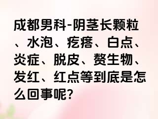 成都男科-阴茎长颗粒、水泡、疙瘩、白点、炎症、脱皮、赘生物、发红、红点等到底是怎么回事呢?