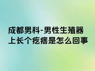 成都男科-男性生殖器上长个疙瘩是怎么回事
