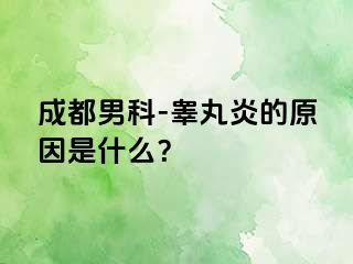 成都男科-睾丸炎的原因是什么？