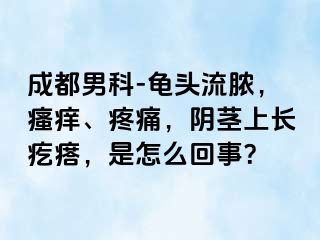 成都男科-龟头流脓，瘙痒、疼痛，阴茎上长疙瘩，是怎么回事？