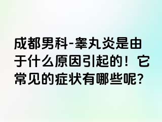 成都男科-睾丸炎是由于什么原因引起的！它常见的症状有哪些呢？