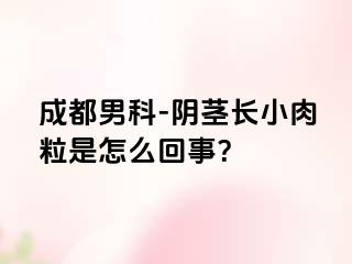 成都男科-阴茎长小肉粒是怎么回事？